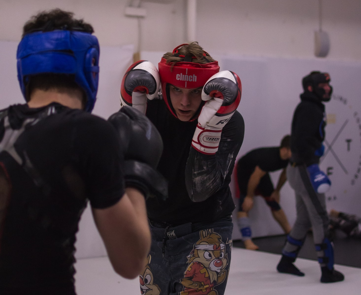 RDX Gants MMA Grappling Arts Martiaux Mitaines d'Entraînement Pour le  Combat